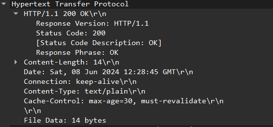 HTTP-200-OK-No-Redirect
